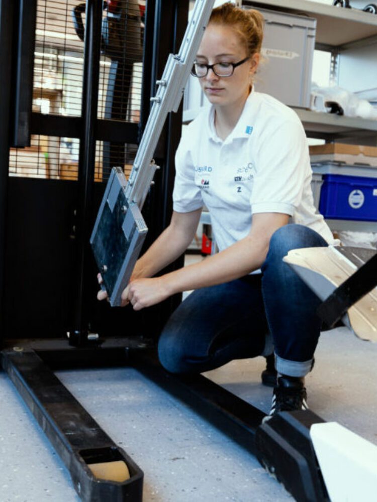 Romy beim Testen